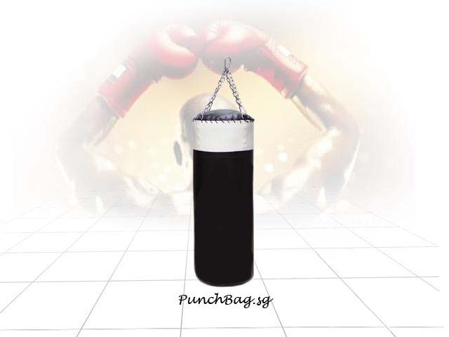 Hanging Punching Bag